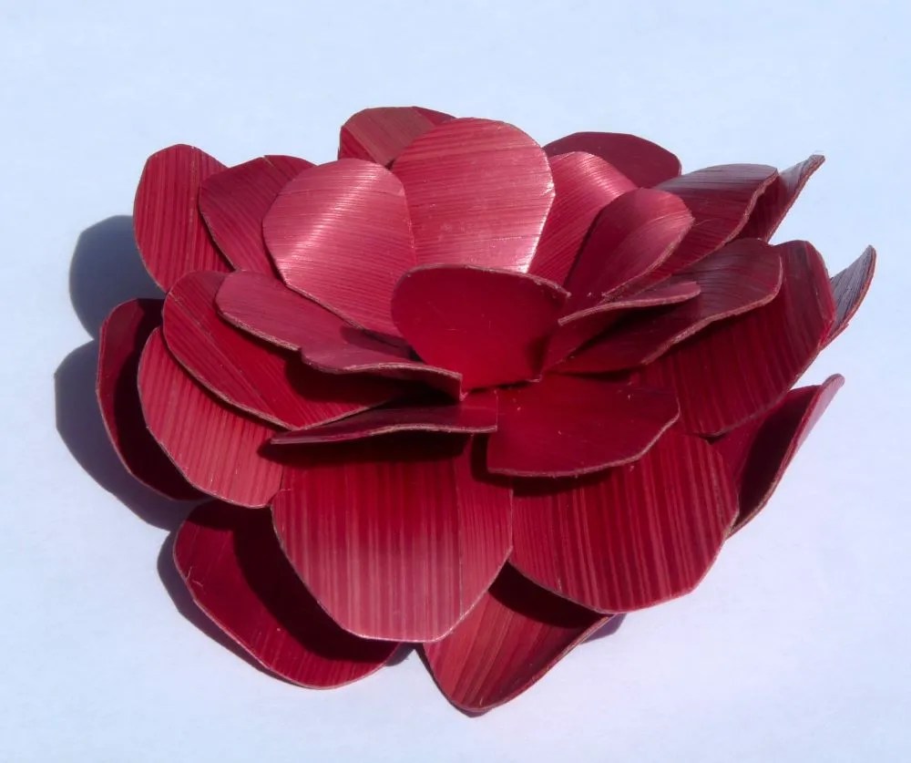 Fleur de paille rose