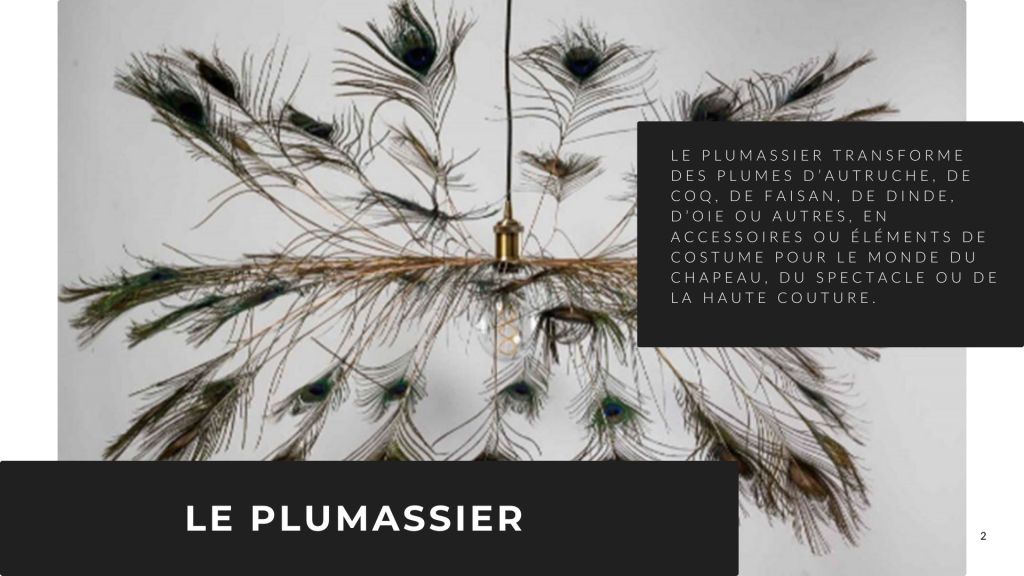 définition plumassier