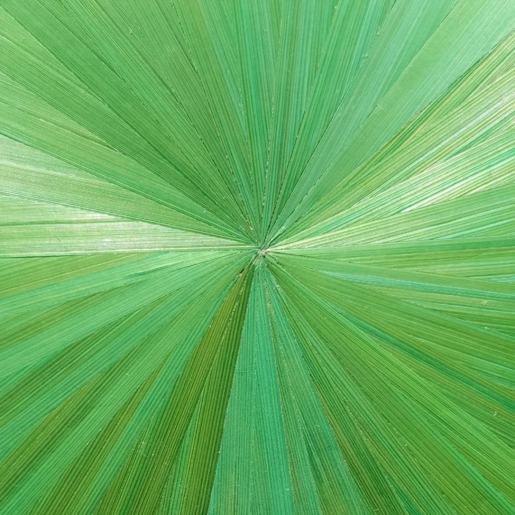 Atelier initiation en marqueterie de paille