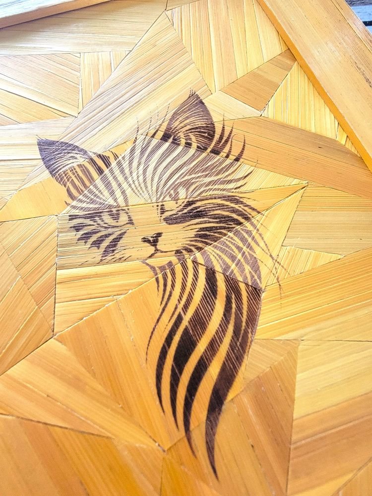 tête de chat - laser